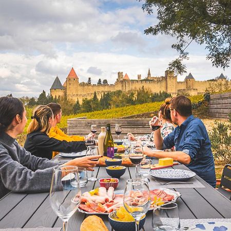 Villa L'écrin de la Cité, Coeur de Vignes à Carcassonne Extérieur photo