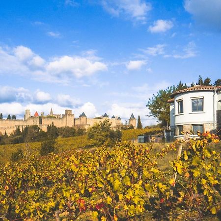 Villa L'écrin de la Cité, Coeur de Vignes à Carcassonne Extérieur photo