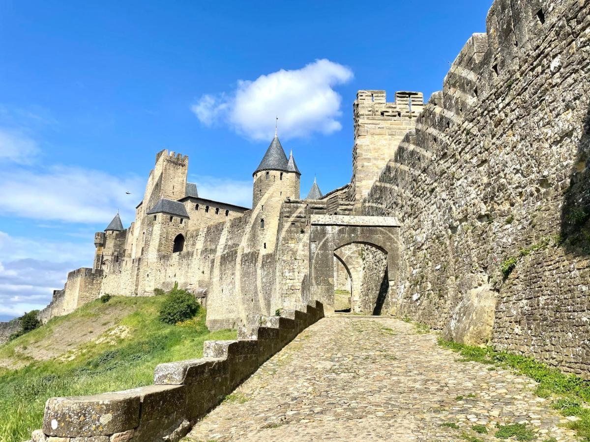 Villa L'écrin de la Cité, Coeur de Vignes à Carcassonne Extérieur photo