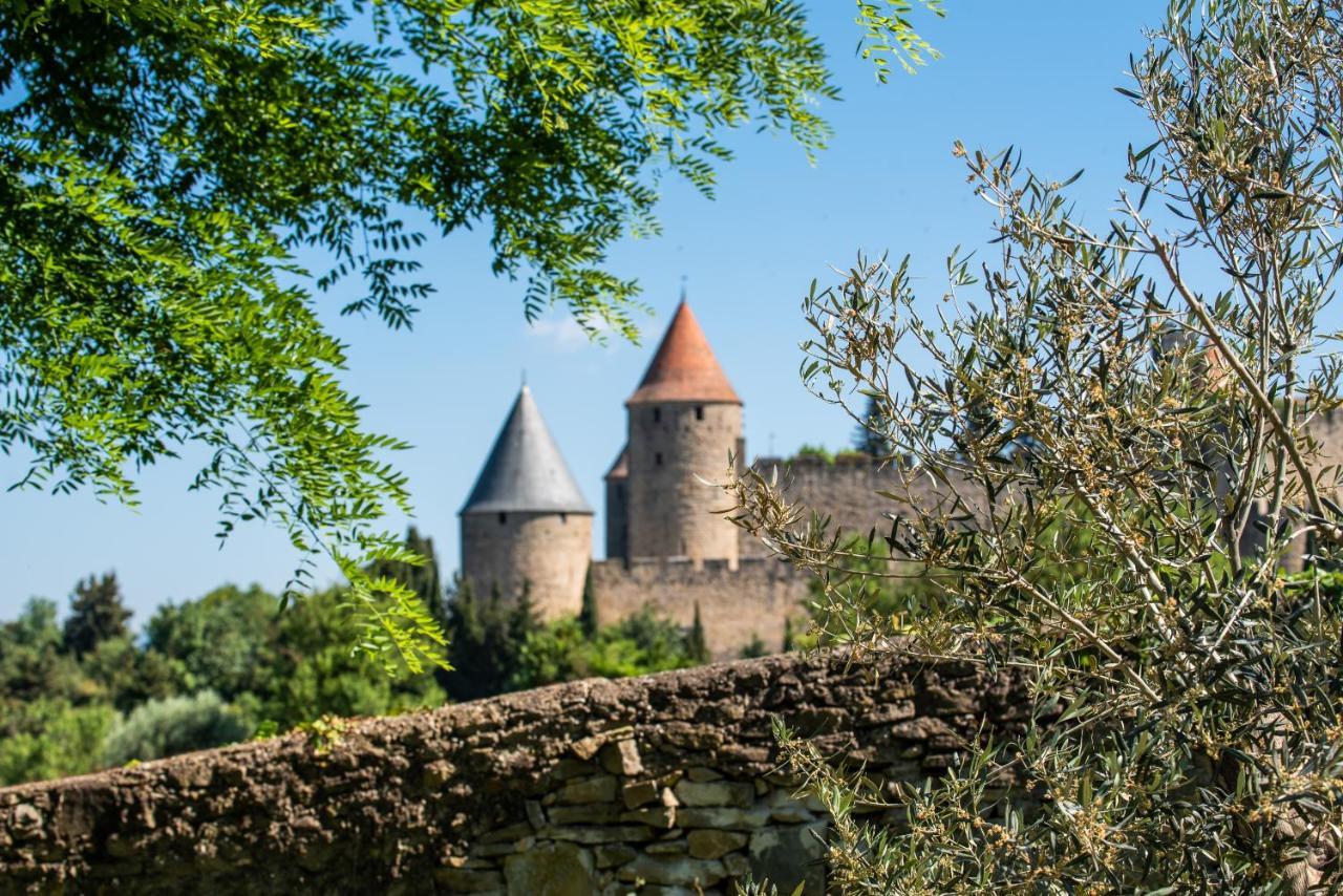 Villa L'écrin de la Cité, Coeur de Vignes à Carcassonne Extérieur photo