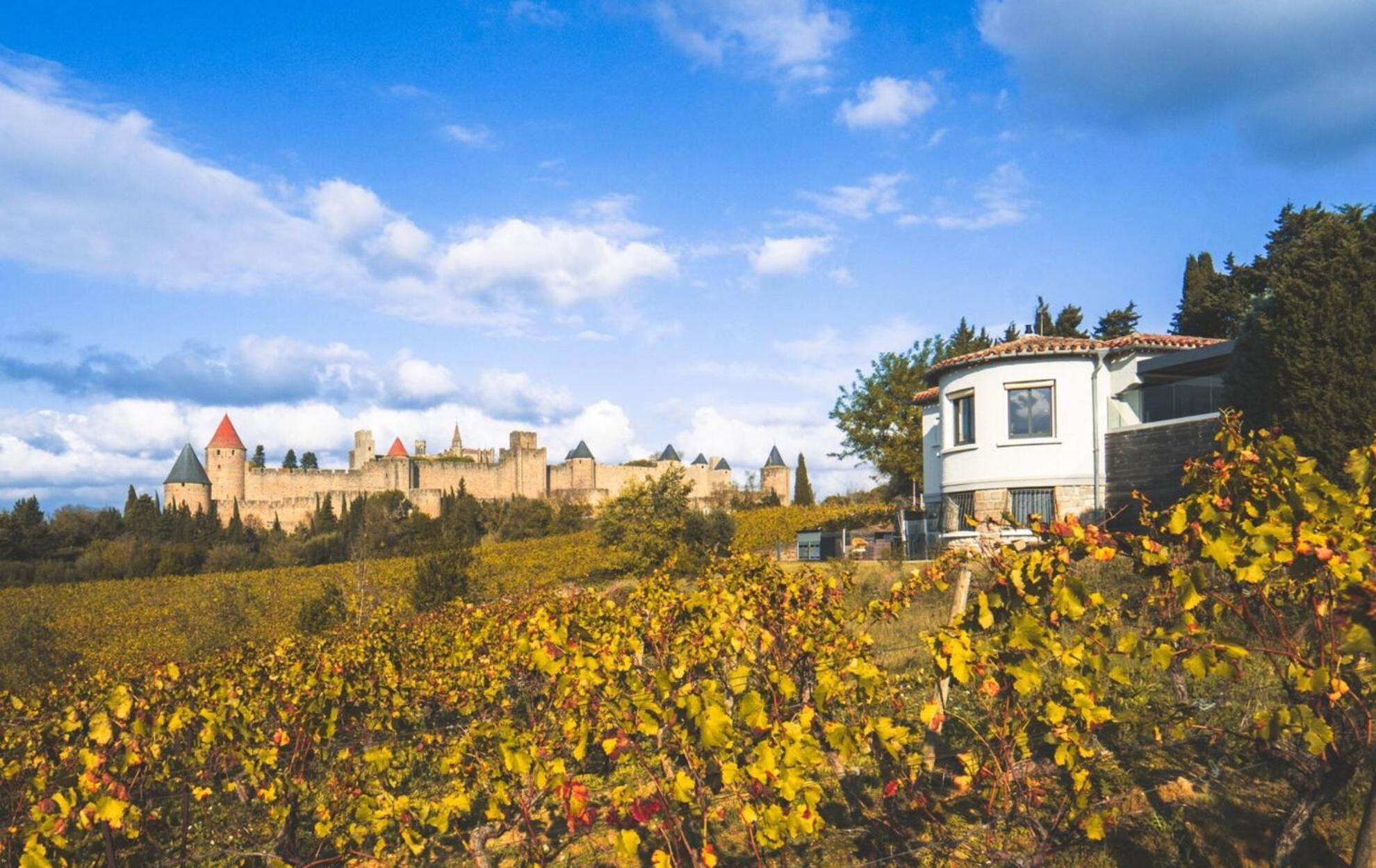Villa L'écrin de la Cité, Coeur de Vignes à Carcassonne Extérieur photo